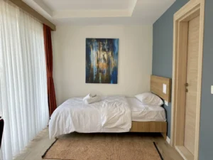 اسعار الفيلات الايجار في صبنجة تركيا