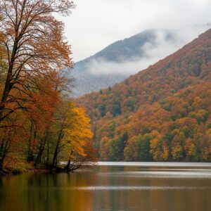 Sapanca Sıcak Havuzlu Villa Kışın Sıcak Tatilin Adresi