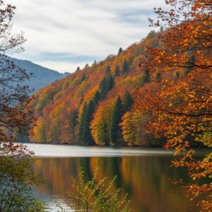 Sapanca'da Sıcak Havuzlu Villa Mükemmel Tatil Seçeneği