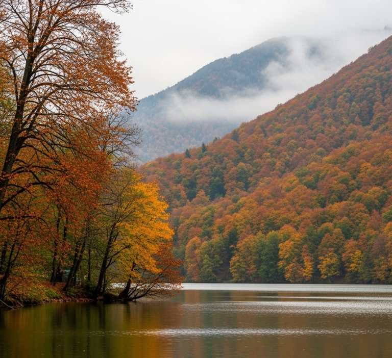 Sapanca Sıcak Havuzlu Villa Kışın Sıcak Tatilin Adresi